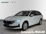 Skoda Octavia Combi Selection 2,0 TDI 85 kW 6-Gang-Sch - Skoda Octavia Neuwagen in Leipzig