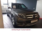 Mercedes-Benz GLK 250 BlueTec 4Matic+Xenon+Pano+voll Scheckh.