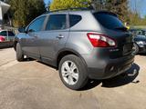 Nissan Qashqai 360 - Nissan aus 2013