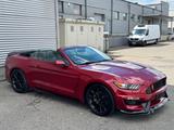 Ford Mustang 2.3 EcoBoost auto, Shelby GT350 optic - Ford: Shelby