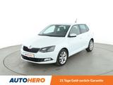 Skoda Fabia 1.0 TSI Clever*NAVI*ACC*PDC*SHZ* - Skoda Fabia Clever mit Benzin-Antrieb