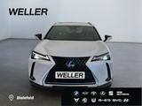 Lexus UX 250h Style Edition *Bi-LED*ACC*CAM*SHZ*CarPla - Lexus UX aus 2022