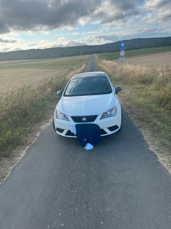Image of Seat Ibiza