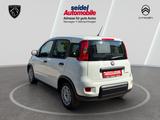 Fiat Panda 1.0 Mild Hybrid Base neuwertig - Fiat Panda: Weiß