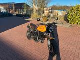Ducati Scrambler 1100 Pro Tribut - DUCATI SCRAMBLER 1100 PRO