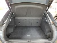 Cupra Terramar - Vorschau Bild 6