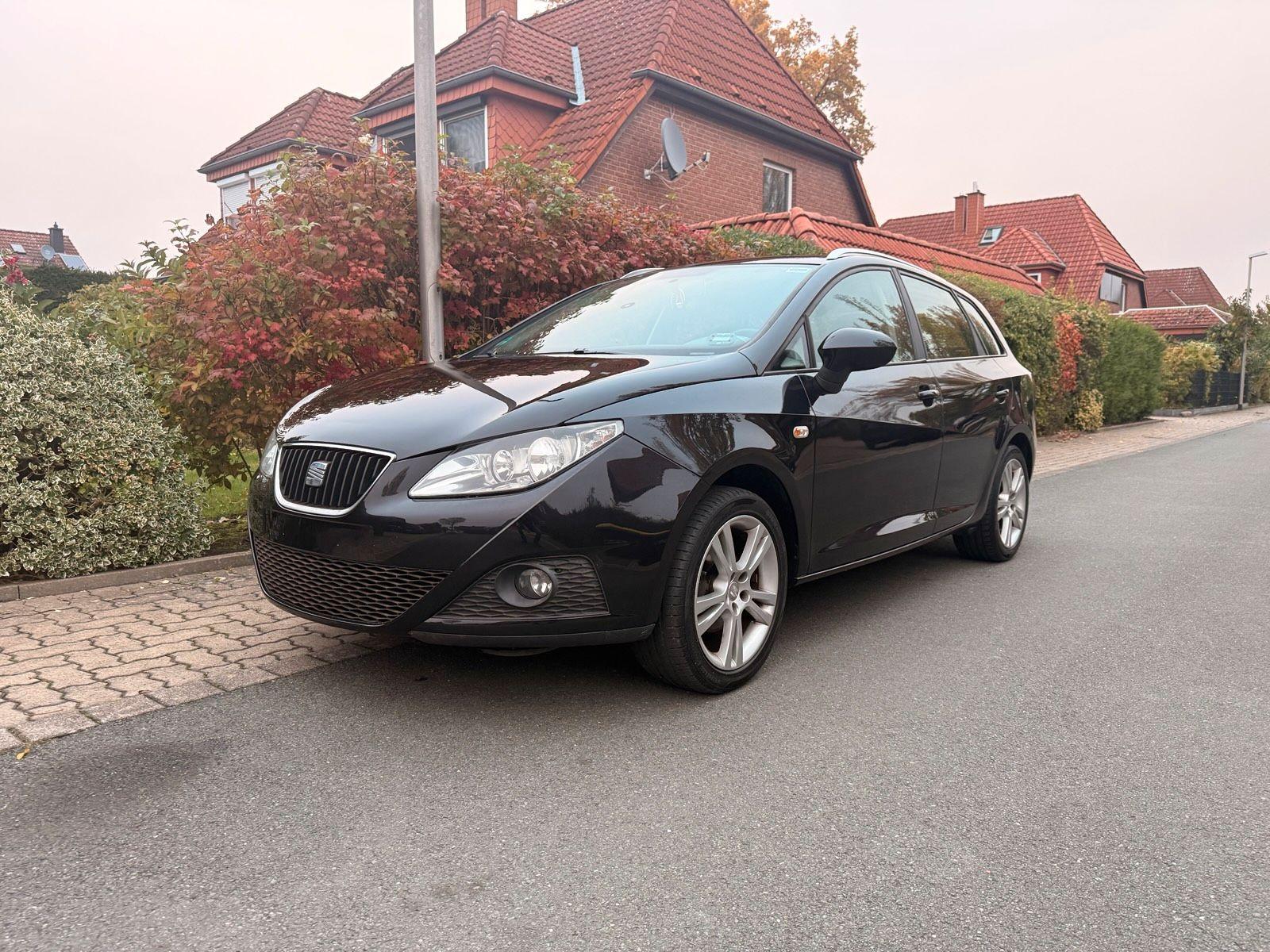 Seat Ibiza 2010 — вигляд ззаду
