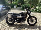Triumph Street Scrambler Sandstorm - Offers