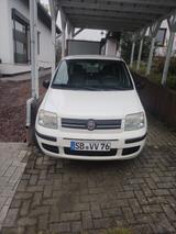 Fiat Panda - Fiat Panda Gebrauchtwagen in Saarbrücken