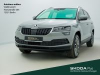 Skoda Karoq - Vorschau Bild 1