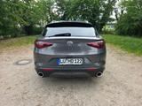 Alfa Romeo Stelvio 2.0 Turbo 16V 147kW AT8-Q4 - - Alfa Romeo Gebrauchtwagen in Mannheim