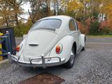 Volkswagen Käfer - gebrauchte VW Käfer aus dem Jahr 1965