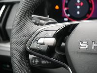 Skoda Kodiaq - Vorschau Bild 10