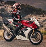 Suzuki GSX-R1000R 40th Anniversary Edition - SUZUKI GSX 1000