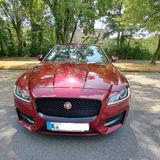 Jaguar XF 20d 180PS R-Sport Automatik R-Sport neu Motor - Jaguar XF in Köln