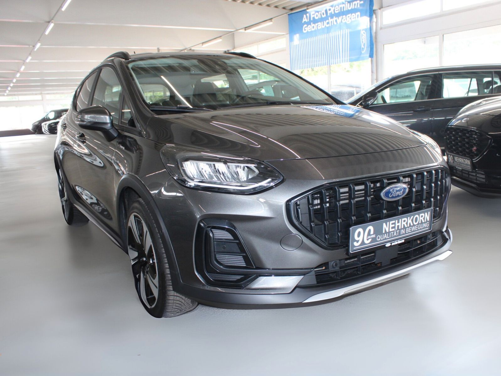 Fahrzeugabbildung Ford Fiesta Hybrid Active X LED ACC Winter + Park Pak