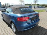 Audi A3 A3 Cabriolet 1.9 TDI DPF - Audi: 1.9