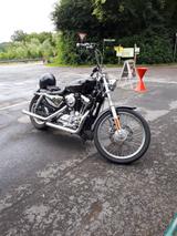 Harley-Davidson Sportster 1200 C - HARLEY-DAVIDSON 2005 SPORTSTER 1200