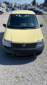 Fiat Panda  1 Hand  unfallfrei - Fiat Panda: Kombi