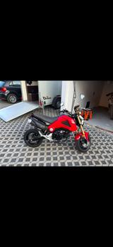 Honda MSX Grom - HONDA MSX