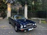 Jaguar Daimler Double Six in Westminster Blue, Magnolia - Jaguar Daimler: Six Double