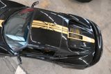 Lotus "Black beauty" Elise S3 2ZZ supercharged 300PS - Lotus Elise aus 2010