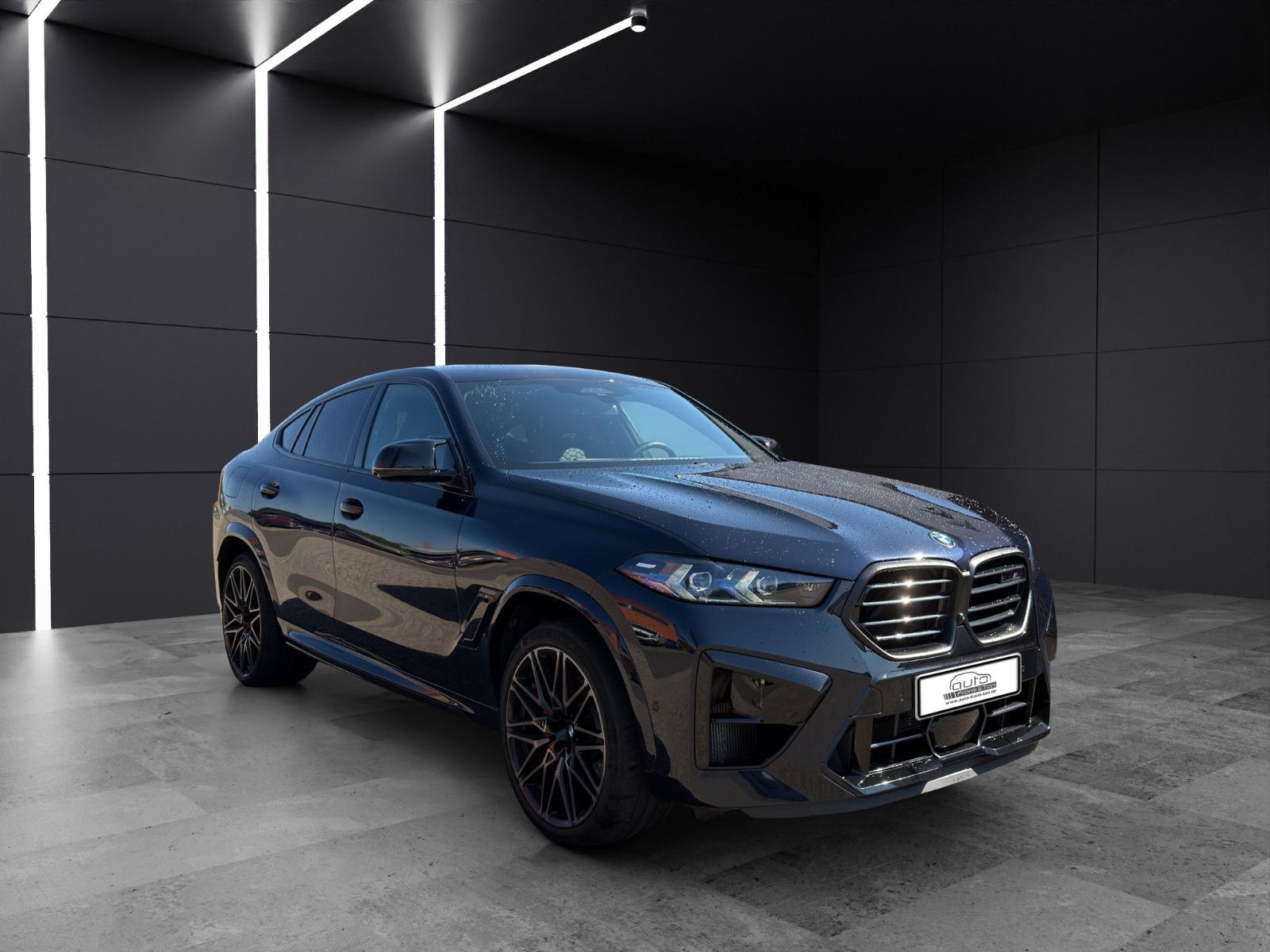 Fahrzeugabbildung BMW X6 M Competition/Massage/Shadow/360°/H&K