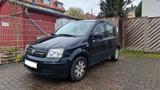Fiat Panda 1.2 8V  Freiläufer - Fiat Panda Gebrauchtwagen in Dortmund