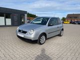 Volkswagen Lupo 1.4 TÜV/AU NEU Klima 54.231 KM - Volkswagen Lupo aus 2003