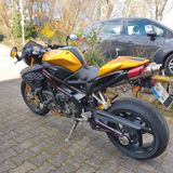 Benelli Café Racer  - BENELLI CAFE RACER