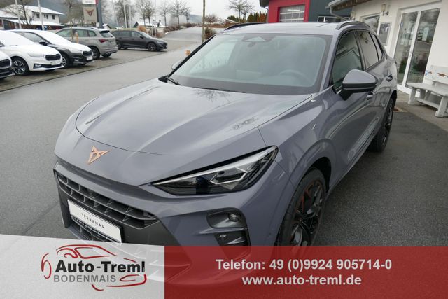 Cupra Terramar VZ 2.0 TSI 265 PS DSG 4Drive AHK Pan...