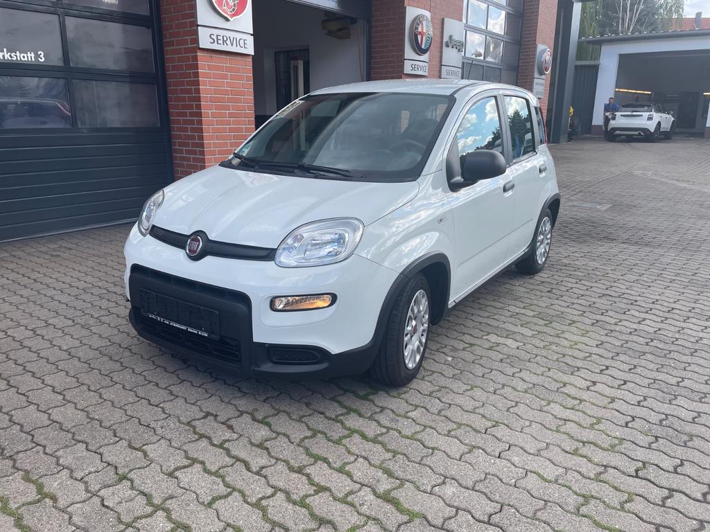 Fiat Panda Base 2022
