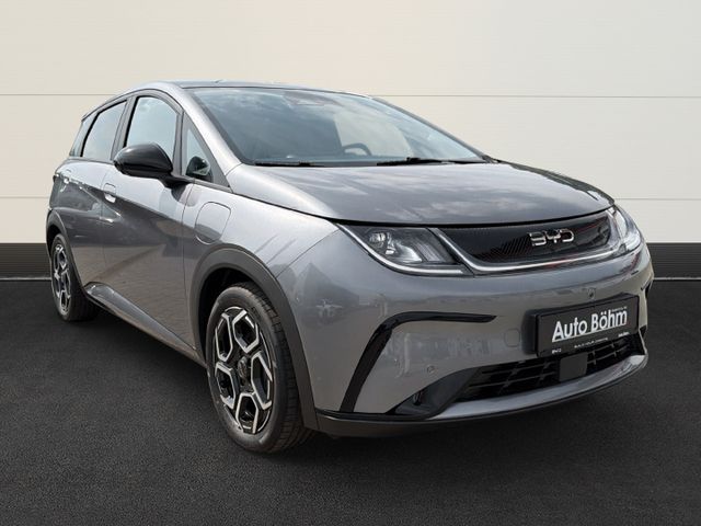 BYD Dolphin Design