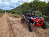 Polaris RZR 4 XP 1000 2023 - POLARIS RZR 4