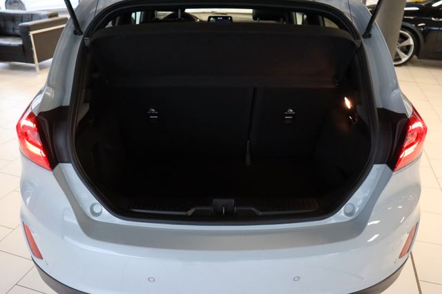 Fahrzeugabbildung Ford Fiesta Active Plus|PANO|B&O|KAMERA|LED|SILVERFOX