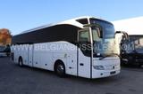 Mercedes-Benz Tourismo 15RHD / R07 / Acron / 12.1m / Luxeline  - Mercedes-Benz Tourismo rhd