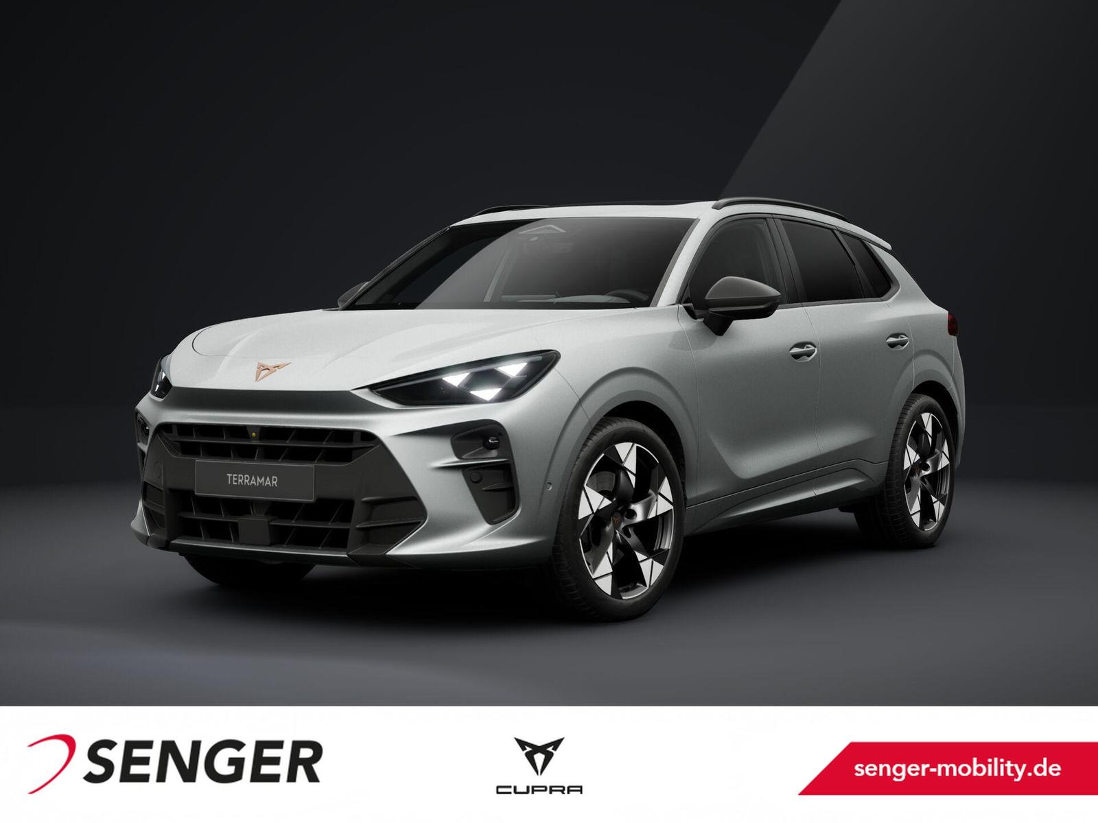 Cupra Terramar 2.0 TSI 4Drive Digitales Cockpit Navi