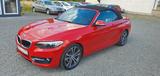 BMW 228i Cabrio xdrive Navi Professional - BMW 2 Series: Cabrio