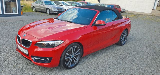 BMW 228i Cabrio xdrive Navi Professional