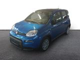 Fiat Panda City Paket DAB Spurhalteass. Verkehrszeich - Fiat Panda Jahreswagen