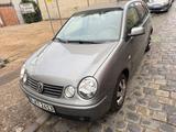 Volkswagen Polo 1.4 Auto Cricket Cricket - Volkswagen Polo Cricket mit Benzin-Antrieb