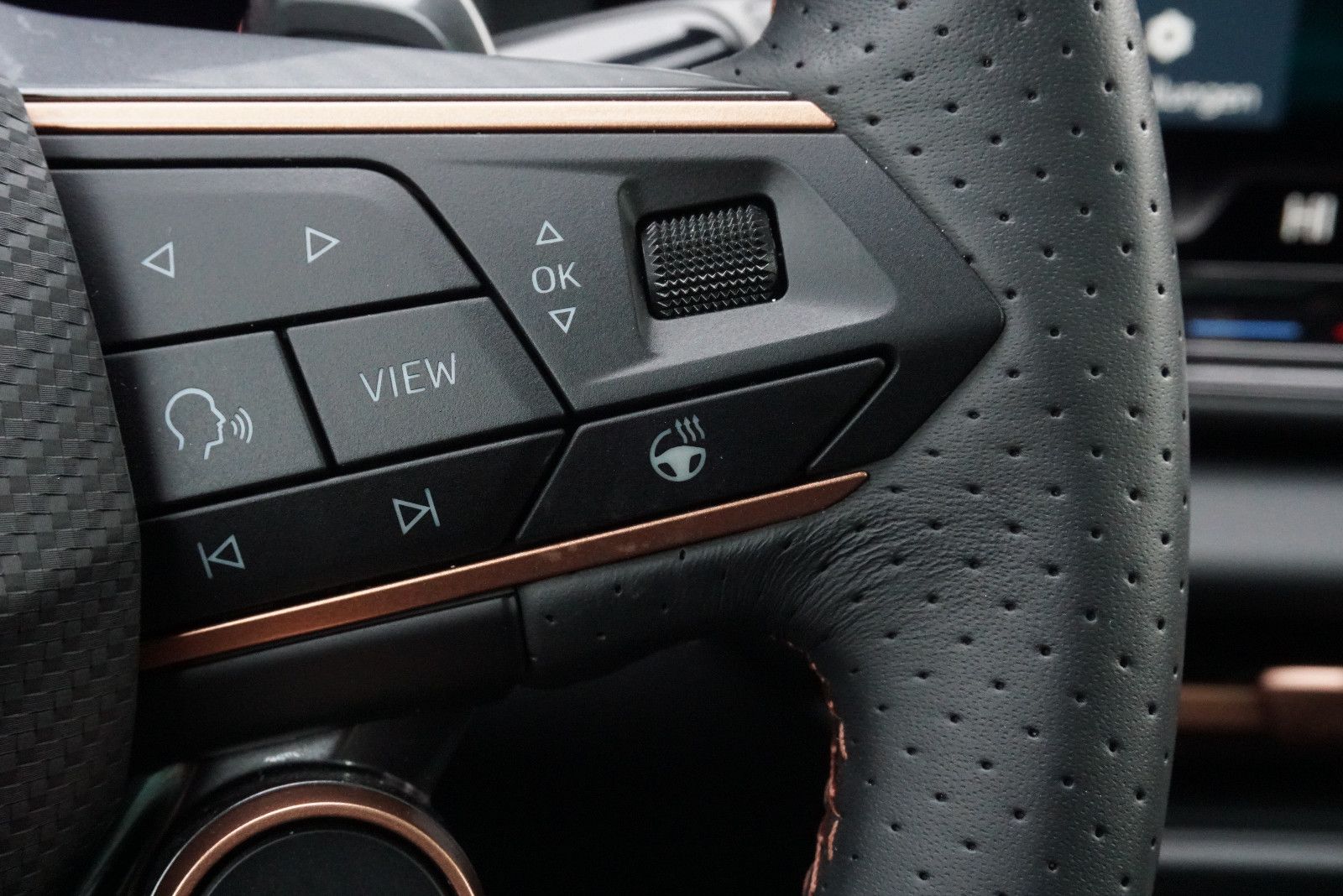 Cupra Terramar - Bild 26