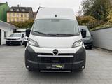 Opel Movano 180 L4H3 Maxi Automatik Extra Hoch+Lang - Opel Movano: Van