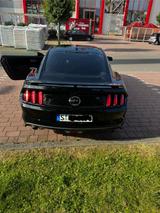 Ford Mustang GT 5.0 Ti-VCT V8 California Special Aut. - Ford Mustang Gebrauchtwagen in Stuttgart