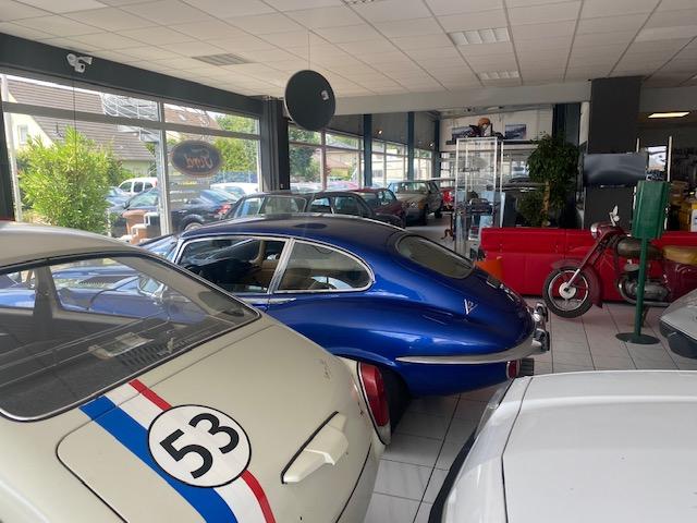 showroom-image-main