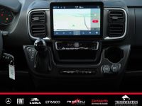 Autohaus Thorwesten Gebrauchtwagen