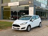 Ford Fiesta 1.0 80CV 5 porte Black & White Editi - Ford Fiesta: Black