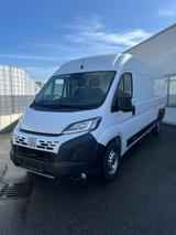 Fiat Ducato H2 Holzboden 35 L5H2 140 Multijet Maxi - Fiat Ducato: 2.5