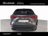 Lexus NX 450 h+ E-Four Business Line 15 Jahre Lexus Re - Lexus NX-Serie Tageszulassungen