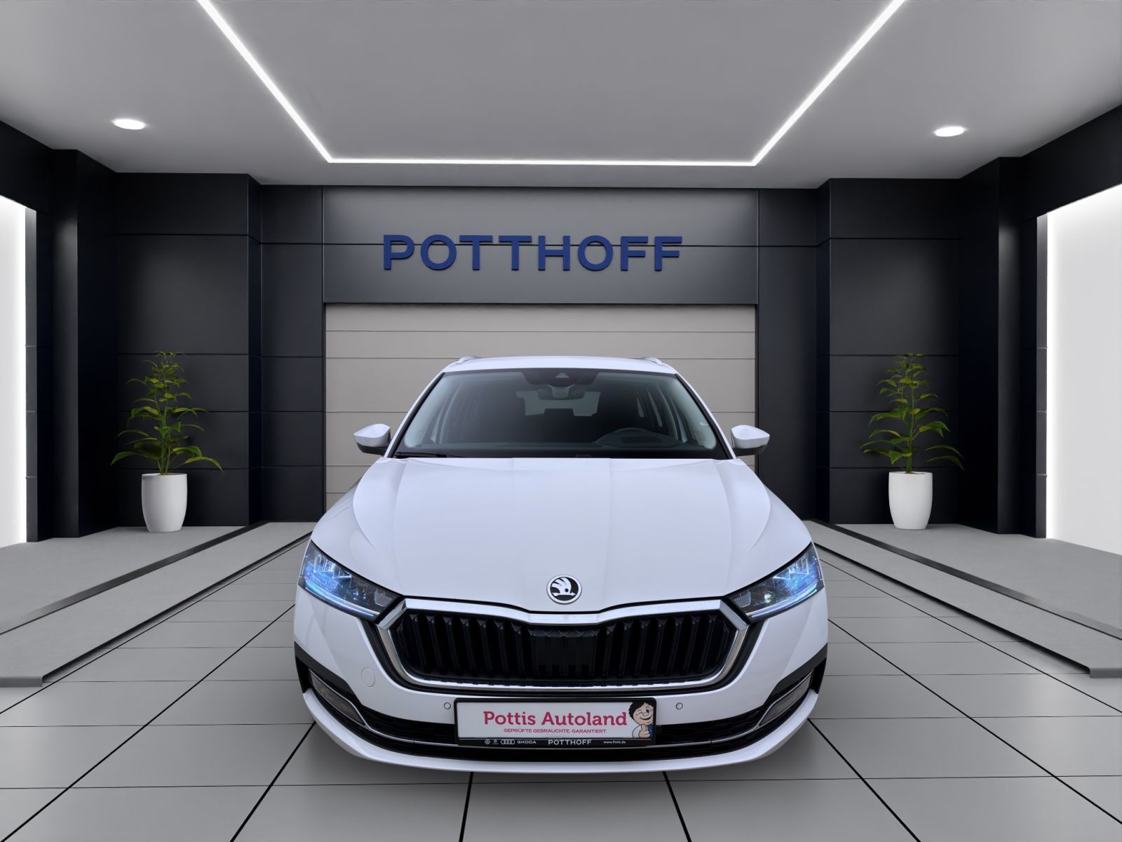 Skoda Octavia - Bild 7
